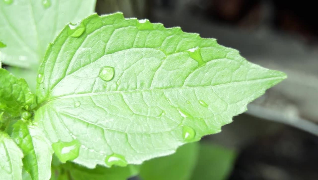 interactive - all in all