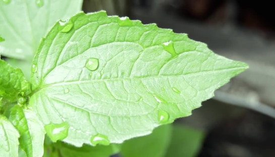 interactive - all in all