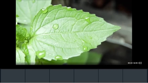 Thumbnail for Rec- Jul 19, 2022 1:37 PM - Meeting Room meeting 2.mp4