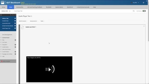 Thumbnail for Audio Player - Play/pause button