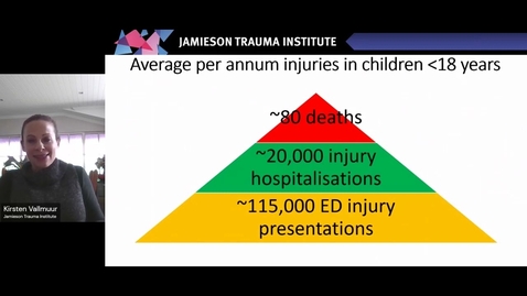 Thumbnail for Insights from linked injury data