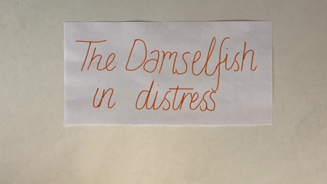 Thumbnail for Global Teacher Digital Narratives 2017: Damselfish in Distress